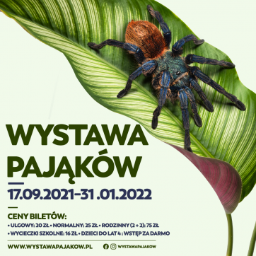 Wystawa pająków i skorpionów