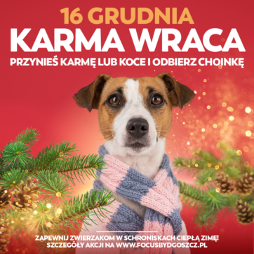 POMÓŻ ZWIERZĘTOM I ODBIERZ CHOINKĘ!