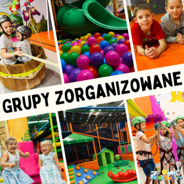 GRUPY ZORGANIZOWANE