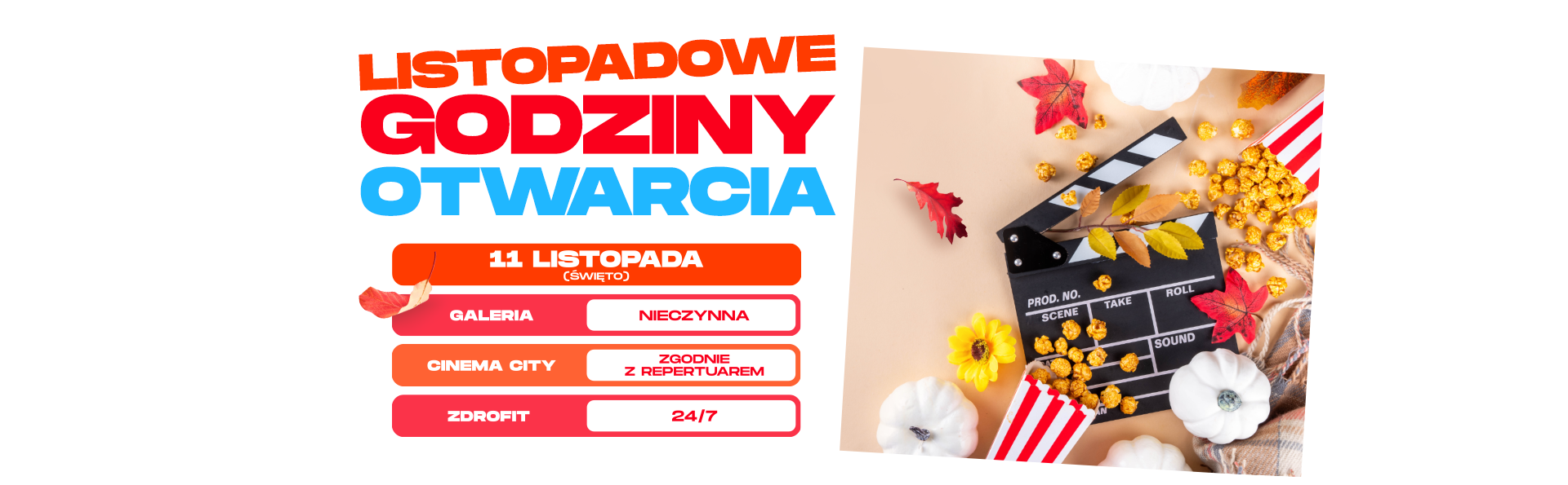 Funkcjonowanie centrum 11 listopada