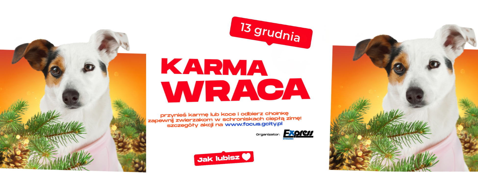 Karma wraca | 13 grudnia